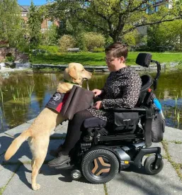 Ugoden nakup invalidskega vozička Slovenija
