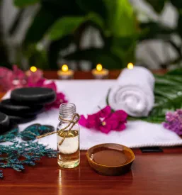 Wellness Podravska