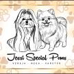 Jessi Special Poms