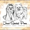 Jessi Special Poms