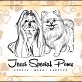Jessi Special Poms