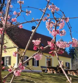 Kmečki turizem Maribor in okolica