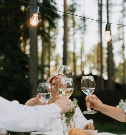 Pridelava vrhunskih vin na Dolenjskem