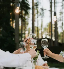 Pridelava vrhunskih vin na Dolenjskem