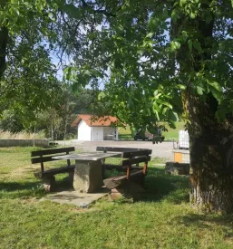 Družinski avtokamp na Primorskem