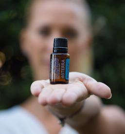 Aroma joga Koper, Obala