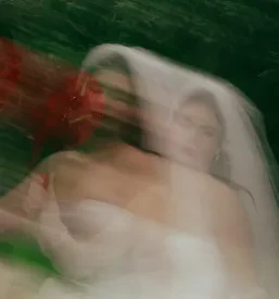 Fotografiranje porok Slovenija