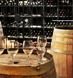 Degustacija vin v Posavju