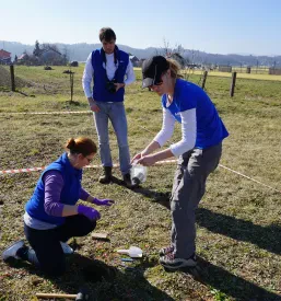 Laboratorijska analiza zemljišč pred nakupom Slovenija
