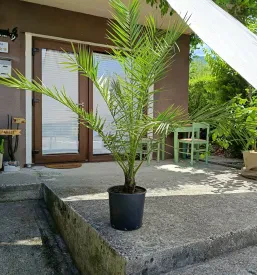 Apartma Bovec