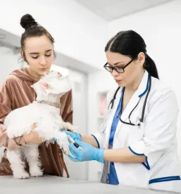 Veterinarska ambulanta Ljubljana