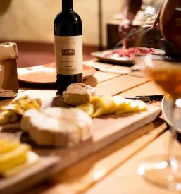 Turistična domačija med vinogradi Dobrovo v Brdih
