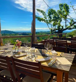 Degustacija vin na turistični kmetiji v Brdih