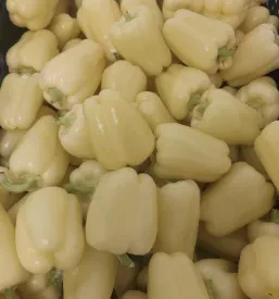 Domača paprika Posavje