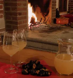 Vinska degustacija Dornberk