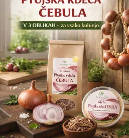 Ptujska rdeča čebula iz domače pridelave