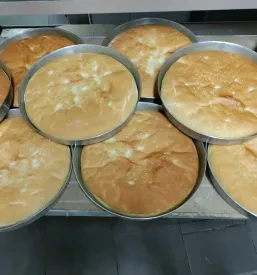 Dober burek Maribor