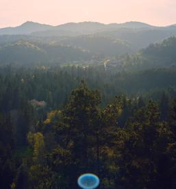 Naravni domači piščanci Cerknica, Postojna