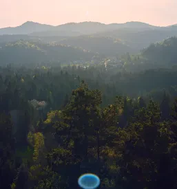 Naravni domači piščanci Cerknica, Postojna