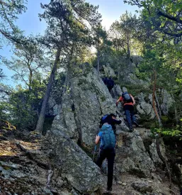Vpis v planinsko društvo Trbovlje