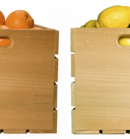 Spletna prodaja BIO citrusov, pomaranč Slovenija