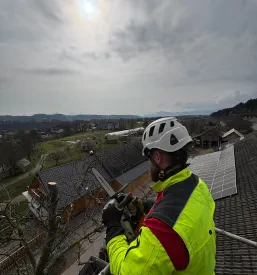 Obrezovanje, podiranje dreves Gorenjska