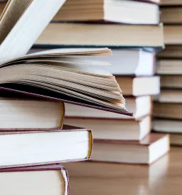 Gozdne aktivnosti za otroke Litija