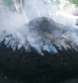 Prodaja oglja za les Zasavje