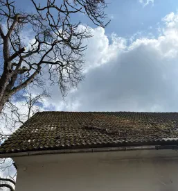 Obrezovanjedreves Gorenjska