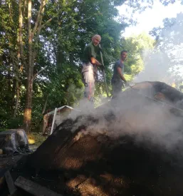 Prodaja oglja za les v Zasavju
