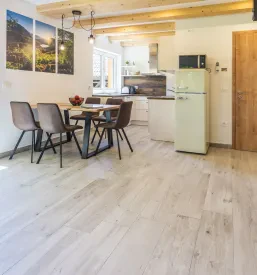 Najem apartmaja z wellnesom Srednja vas v Bohinju, Bohinj