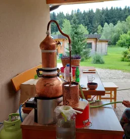 Sprostitvena masaža Savinjska