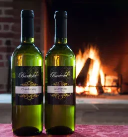 Degustacije vin Dornberk