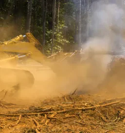 Buldožer v gozdu odstranjuje podrta drevesa in veje. Takšno čiščenje je pomembno za vzdrževanje gozdov in pripravo terena za nadaljnjo rast.