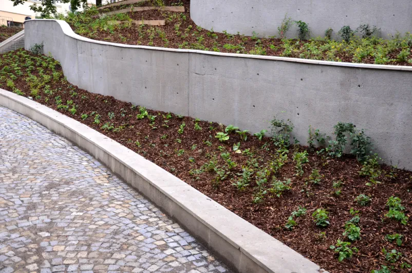 Betonske škarpe z urejeno zasaditvijo in stopnicami Urejen parkovni predel z betonskimi škarpami v elegantnih lokih, ki preprečujejo erozijo. Vidne so tudi stopnice z jekleno ograjo in cvetlične grede z bujnim trajnicami.