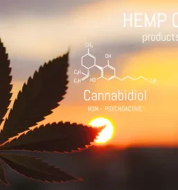 Na sliki je steklenička s CBD konopljinim oljem in svež list konoplje, ki ponazarjata kakovostne izdelke iz konoplje, na voljo tudi v Radovljici.
