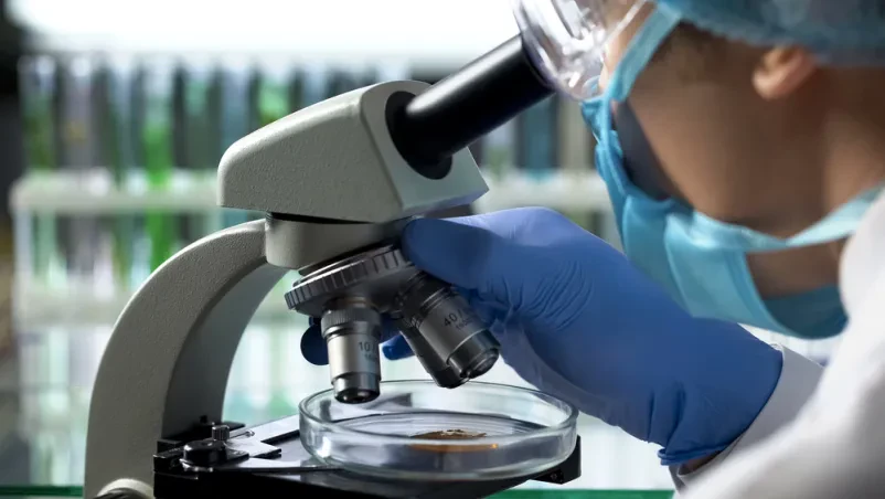 Živilski tehnolog preučuje vzorec v laboratoriju Živilski tehnolog v zaščitni opremi s pipeto jemlje vzorec za podrobno analizo v laboratoriju, kar je del meritev kakovosti medu Gorenjska.