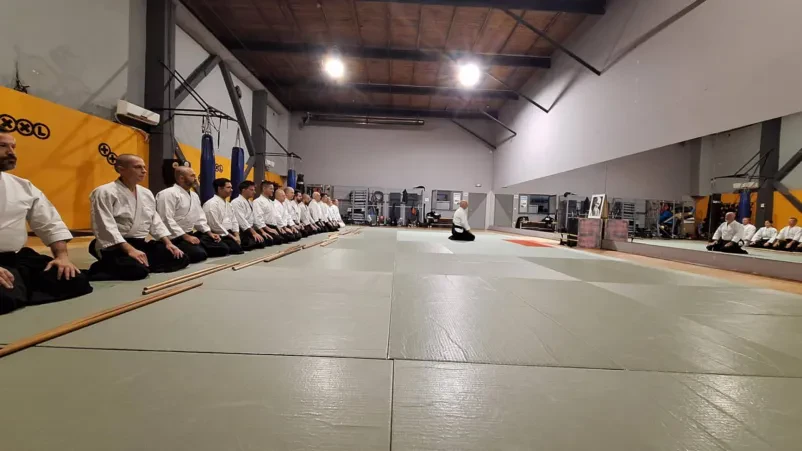 Dinamična vadba aikido tehnike v paru Dva udeleženca aktivno vadita dinamično aikido tehniko z metom v dvorani. Poudarek je na fluidnosti in obvladovanju gibanja.