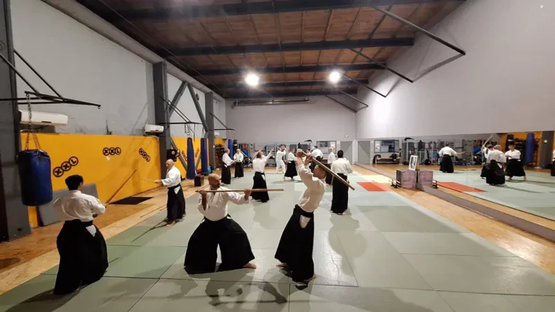 Skupinski pouk in razlaga aikido tehnik Skupina zbranih udeležencev aikido seminarja pozorno posluša inštruktorja, ki razlaga tehnike. Poudarjen je pomen teoretičnega znanja.