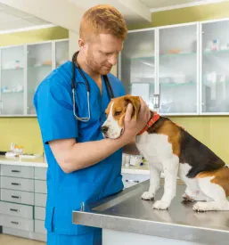 Najboljša veterinarska klinika v Ljubljani