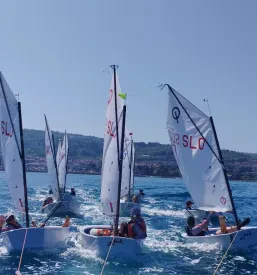 Organizacija regate na Obali