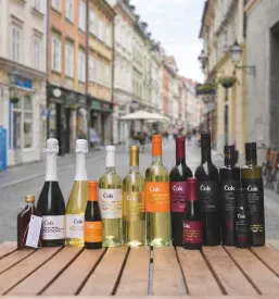 Priljubljen bistro z ribami Ljubljana center