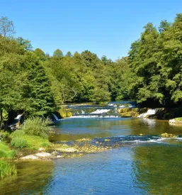 Dober turistični vodnik Dvor pri Krki