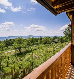 Eco tourist farm Sevnica