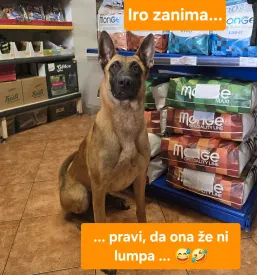 Prodaja hrane za živali Slovenija