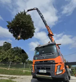 HIAB dvigalo Štajerska (do 31 m)