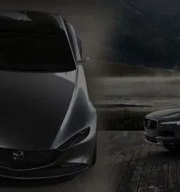 Pooblaščeni serviser za vozila Hyundai Slovenija