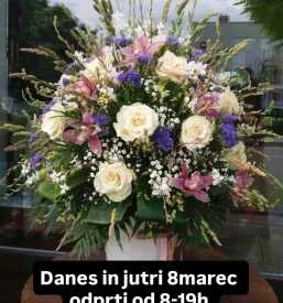 Šopki za nevesto Domžale