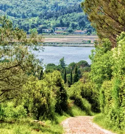 Ugoden apartma Strunjan, Portorož