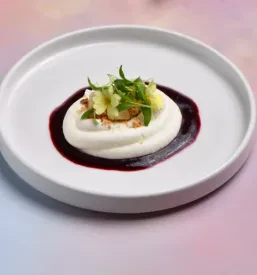 Večhodni degustacijski meni Ljubljana center